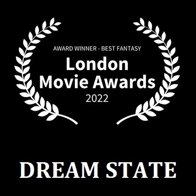 Dreamstate festival accolade